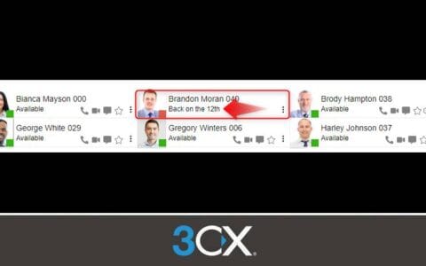 3cx-perfis-web-client